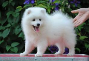 �������� ���� �����