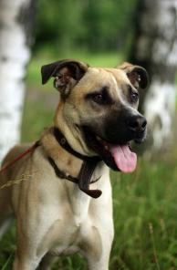 ������-������������ � ���� �����.