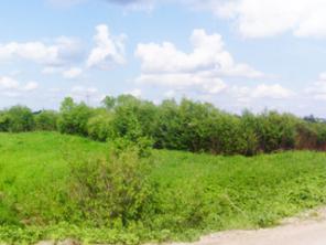 ��������� ������� 30 ��� ��� � ���� ��� (���������) ���������