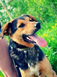 ���� � ������ � ������ ����!