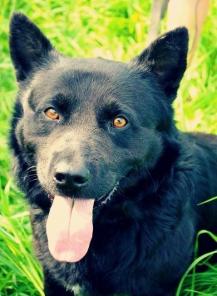 ������ ������� � ������ ����!