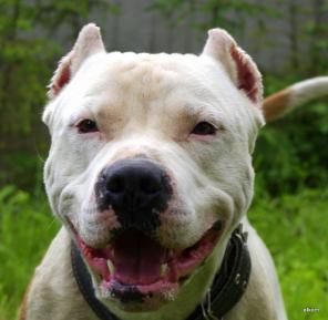 ��������� ��� ����� � ���