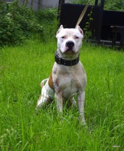 ��������� ��� ����� � ���