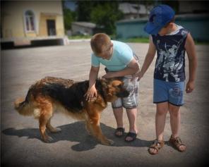 ������� � ���