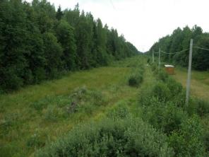 ������� ���������� ������� � ������� ������ �����������