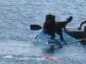 �������� ����� �������������(�������)