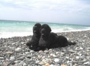 �������� ����� �������������(�������)