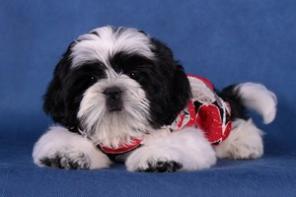 ����� ��-���