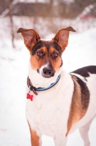 ��������� ������� � ����� ������������ �������,  50 �� � �����.