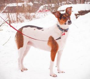 ��������� ������� � ����� ������������ �������,  50 �� � �����.