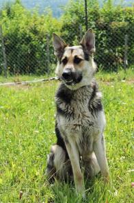 ������� � ������ ���� ����� - �������� ������ ���