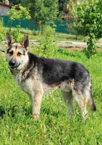 ������� � ������ ���� ����� - �������� ������ ���