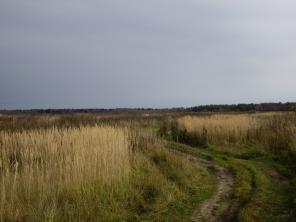 ��������� ��������� ������� � ������������� ������