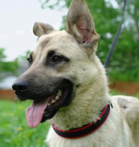 ���� ������ ������ ��� ������������� ������������� �����-��������� ������