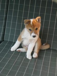 ����� ������� - ��������� �����