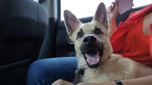 ������������� �����!