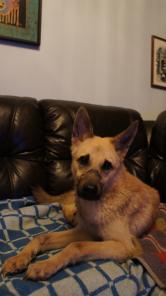 ������������� �����!