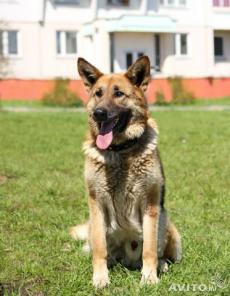 ���� ���� ����� ���