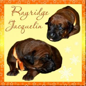 �������. ����� - 2 ������