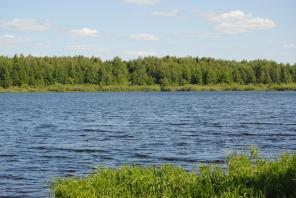 ��������� ������� �� ������������ �����