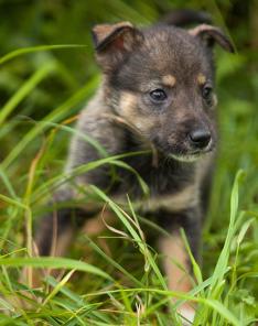 ����� ���������� �����!