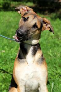 ���������� � ����������� ���������� ��������� ������-�������� ���� ��� ���� �����