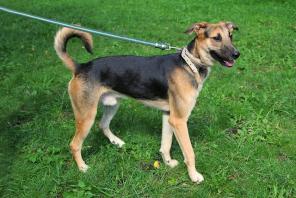 ���������� � ����������� ���������� ��������� ������-�������� ���� ��� ���� �����