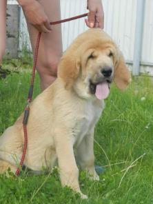 �������� ����-����� ����� ���