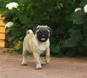 �������� ����� �����