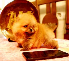 ����� �����