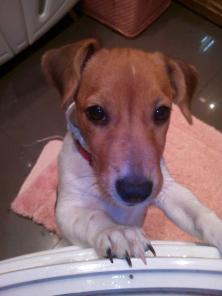 "�-���-�����, ���� ����, ������� ���� �����!