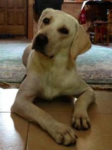 ��������, ������� ������� 1 ���, � ���