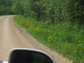 ���  ����  ������ �� ������������ �����.