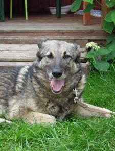 ������ ���� ������ �������! � ���!