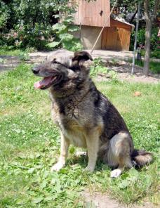 ������ ���� ������ �������! � ���!