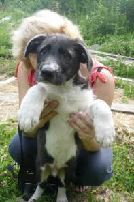 ������������� �����-������ ���� �����