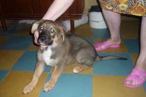 ����� ������������� �����-����, 2 ���