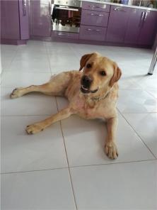 ������� ������� �������� � ���