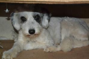 ��������� ��������� ����� ���� ������� ���