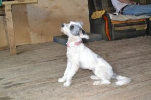 ��������� ��������� ����� ���� ������� ���