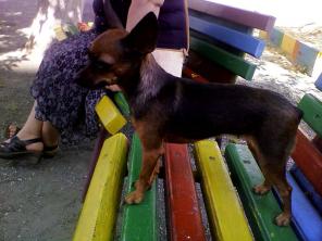 ������� ������ 5 ���� 2013�. ������ ���-������