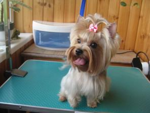 ������� ������ � ������� �� ����