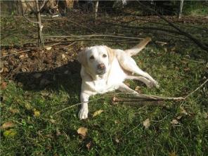 �������� ��������� ������� �����