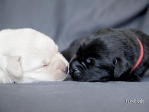 ����� ��������� ���������.