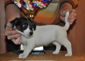 ����� ���� ������ �������