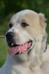 ����, ������� �������� ������ � ���