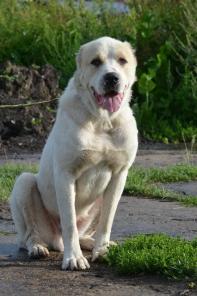 ����, ������� �������� ������ � ���