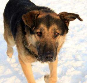 �����, ����� �������. � ������ ����