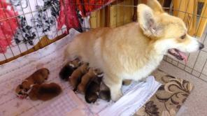 ����� ����� ����� ������� �� ������������ ��������