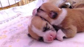 ����� ����� ����� ������� �� ������������ ��������